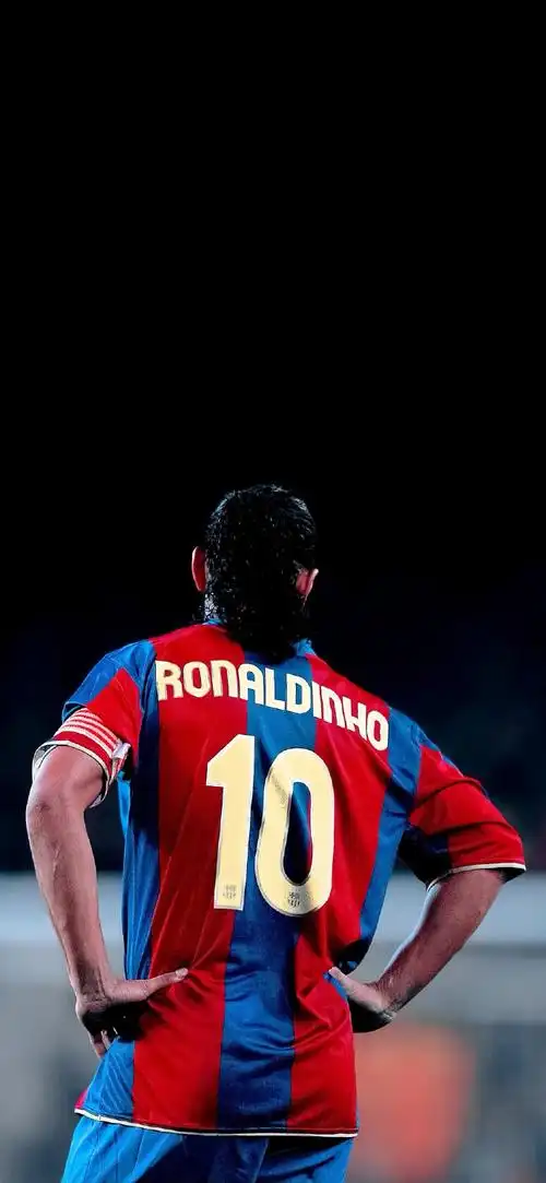 提供了一个 提供了一个