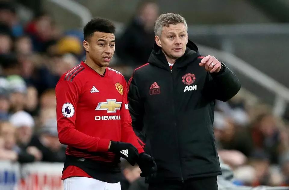 它魅力不仅 它魅力不仅