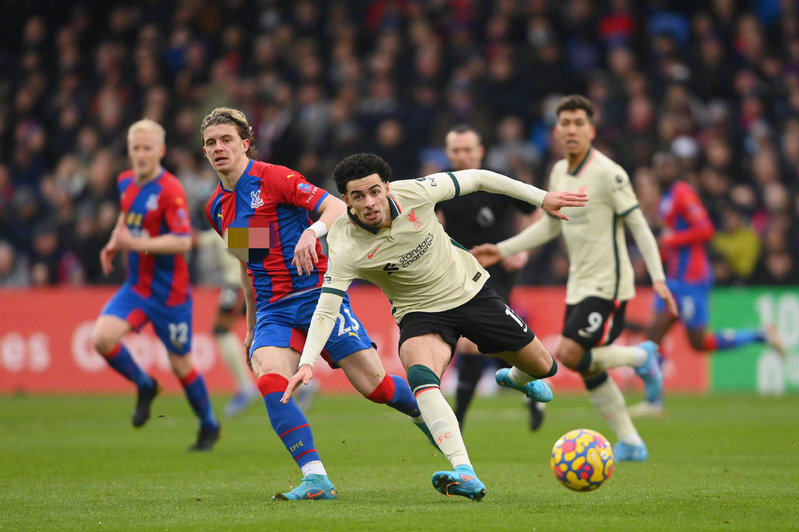 的选择并非 的选择并非